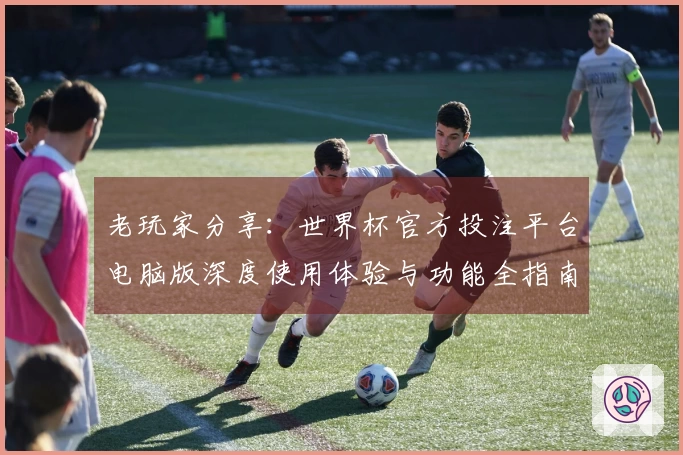 老玩家分享：世界杯官方投注平台电脑版深度使用体验与功能全指南