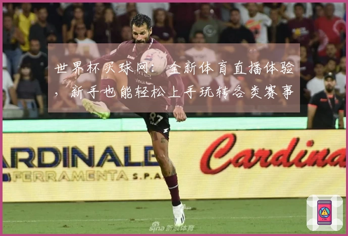 世界杯买球网：全新体育直播体验，新手也能轻松上手玩转各类赛事。