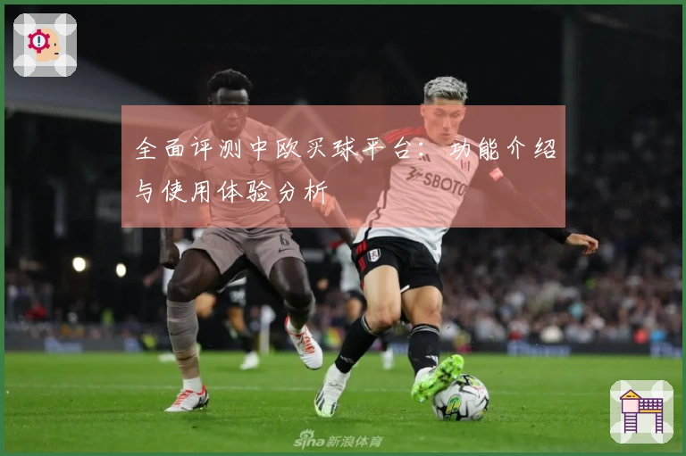 全面评测中欧买球平台：功能介绍与使用体验分析